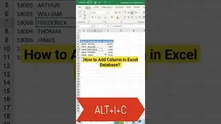 How to Insert Column in Excel Database? Shortkey  #excel #tutorial
