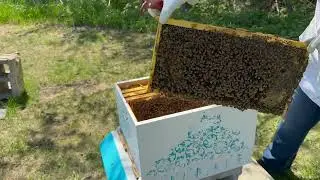 Installing New Bee NUC 2025