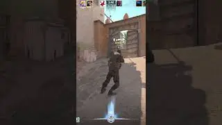 Do you play with a scout in the CS2 game?