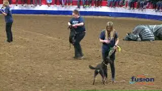 5 WoofJocks