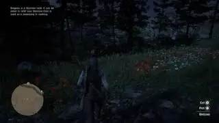 Red Dead Redemption 2 Life of Brian Part 2