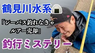 【シーバス釣り】「（ふざおむすび）タイドミノースプラット120SF一択・・・都市型河川釣行」