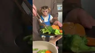 Cook and chill with BiBi monkey | Curious Monkey Family's Daily