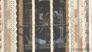 Le campane del Duomo di Firenze - Distesa feriale della 