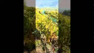 Nos paysages viticoles valaisans