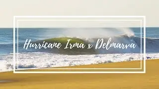 Hurricane Irma x Delmarva