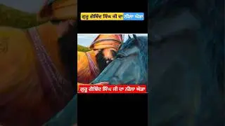 ਗੁਰੂ ਗੋਬਿੰਦ ਸਿੰਘ ਜੀ ਦਾ ਨੀਲਾ ਘੋੜਾ💙 🐎 || Guru Gobind Singh || #gurugobindsingh #shorts #sikhhistory