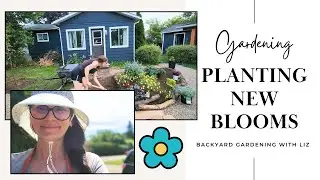 Planting My September Flower Haul 🌼 Turning Dreams Into Garden Reality (Gardening Journey EP 26)