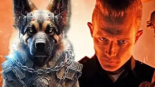 How Dogs Can Spot Out Terminators? Explained
