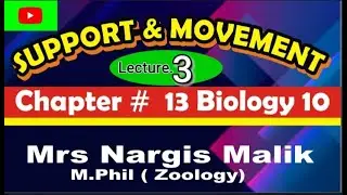 Cartilage | Components of Human Skeleton | Biology 10 | Ch 13 Support and Movement| bio910