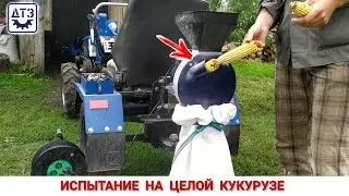 ТЕСТИРУЕМ ПО ПОЛНОЙ, КОРМОИЗМЕЛЬЧИТЕЛЬ ЗЕРНАЯ ДТП/МОЛОТИМ ЦЕЛЬНЫЕ ПОЧВЫ КУКУРУДЗЫ
