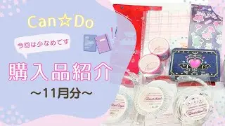 〖購入品紹介〗CanDo購入品🛒𓂃 𓈒𓏸◌
