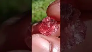 different colored and variety of Burmese natural ruby gemstone