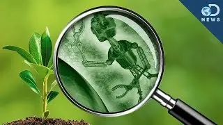 Как бионические растения изменят всё!
