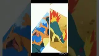 Kanto vs Jhoto Ash team#pokefight#