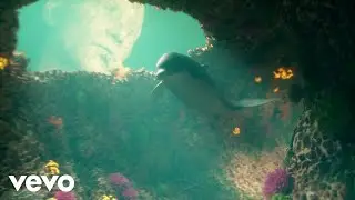 Medasin - Mr. Skitters (Audio)