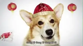 Happy Chinese New Year ! Dog 2018|gong Xi fa Cai