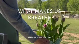 ❤️What MAKES us BREATHE | COZY at home 🏠🌷(ASMR)