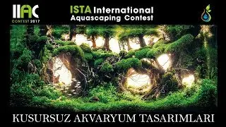 Kusursuz Akvaryum Tasarımları! - IIAC - Ista International Aquascape Contest '17 TOP 50