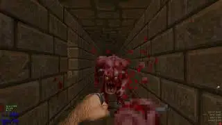 Alien Vendetta - Map09: Castle Gardens