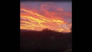 Golden Sunsets - Valerina Guryev