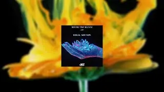 Before the Bloom EP | Cinematic & Ethnic EDM Visual Mixtape (ODESZA, KSHMR Inspired)