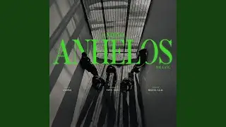 ANHELOS