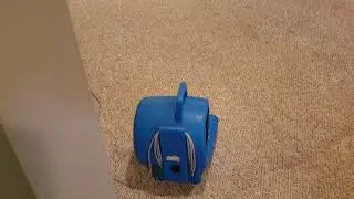 TIPS of how to Clean & Dry berber carpets