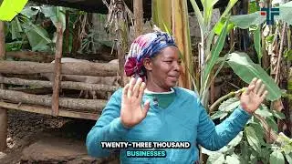Empowering Entrepreneurs Through Financial Training | Tenakata Impact