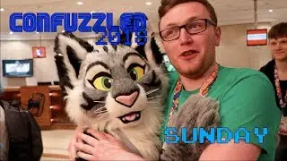 ConFuzzled 2018 - Sunday
