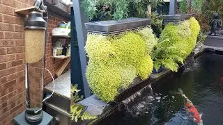 UP Flow Filter, Plants & Bakki Showers