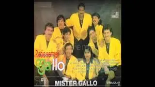 grupo mr gallo LP completo