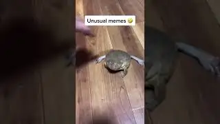 best memes september 2021 #1