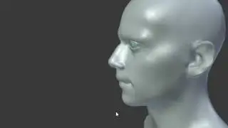 Face skeleton fix