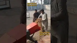 Chaff Cutter Machine | Toka Machine | Chara Kutrai Machine | #chaffcutter #farming #toka #charakutra