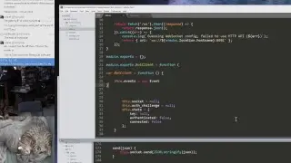 LIVE rust coding and interactive robot design! Tuco Flyer + Chat? #rustlang #tucoflyer #electronics