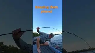 F5Customrods keeping them bigs pinned 💪 #bigfishbullies #pizzswimbaits #swimbaituniverse #shorts