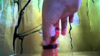 master seafue toy