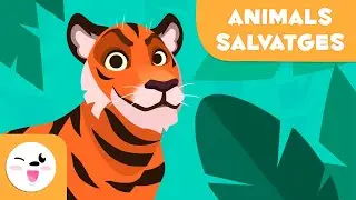 Els animals salvatges per a nens - Vocabulari per a nens en catal&agrave;