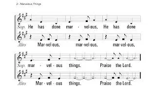 Marvelous Things