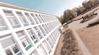 𝙁𝙍𝙀𝙀𝙎𝙏𝙔𝙇𝙀