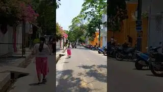 🫶🏻#shorts #frenchcolony #french #pondicherry #trending #song #subscribe #love #colors #like