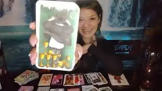 This 3-6-9 portal has shut down all spells work💪🏾🥀ppl want to plant seeds w/u &watch 'em grow💦