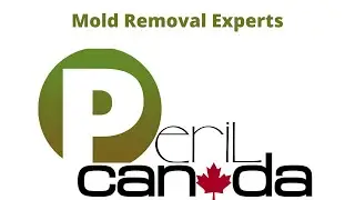 Why Peril Canada is the Best Mold Removal Contractor