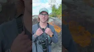 Fall Macro Photography In 🍁 Tips, Gear & Stunning Macro 4K Video