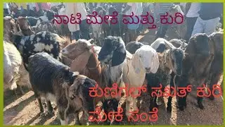 ಕುಣಿಗಲ್ ಕುರಿ ಮತ್ತು ಮೇಕೆ ಸಂತೆ /ವ್ಯಾಪಾರ / kunigal kuri Sante