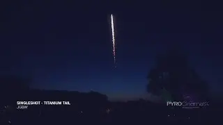 Singleshot (T1) - Titanium Tail - JGWB