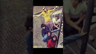 Canned Heat:  Rock Legends In 60 Seconds.
