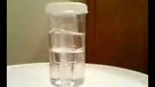 Fermenting Wort