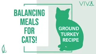 Balancing Viva Raw (Turkey) For Cats